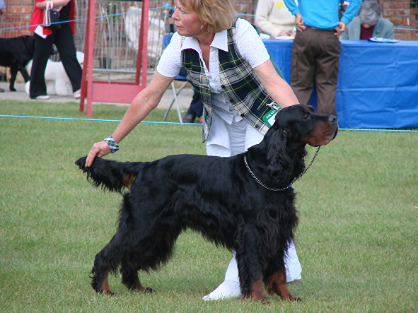 woman posing black and tan dog